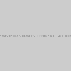 Image of Recombinant Candida Albicans RGI1 Protein (aa 1-201) (strain WO-1)